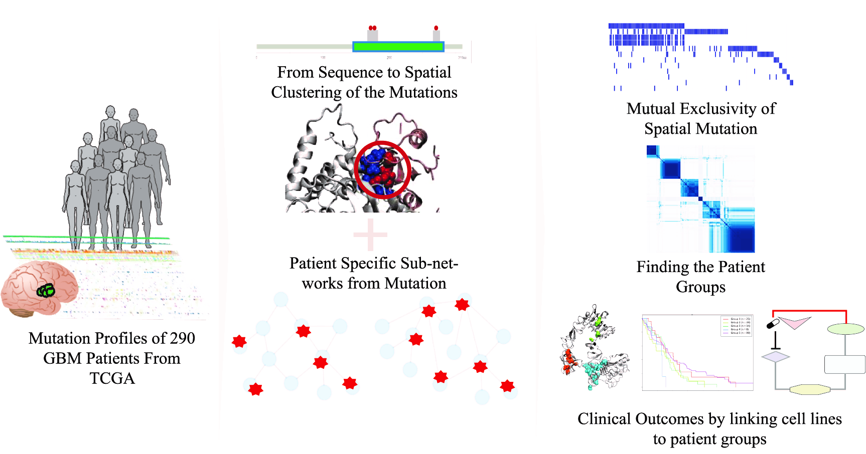 Cansu Dinçer, 3D Spatial Organization and Network-Guided Comparison of Mutation Profiles in Glioblastoma